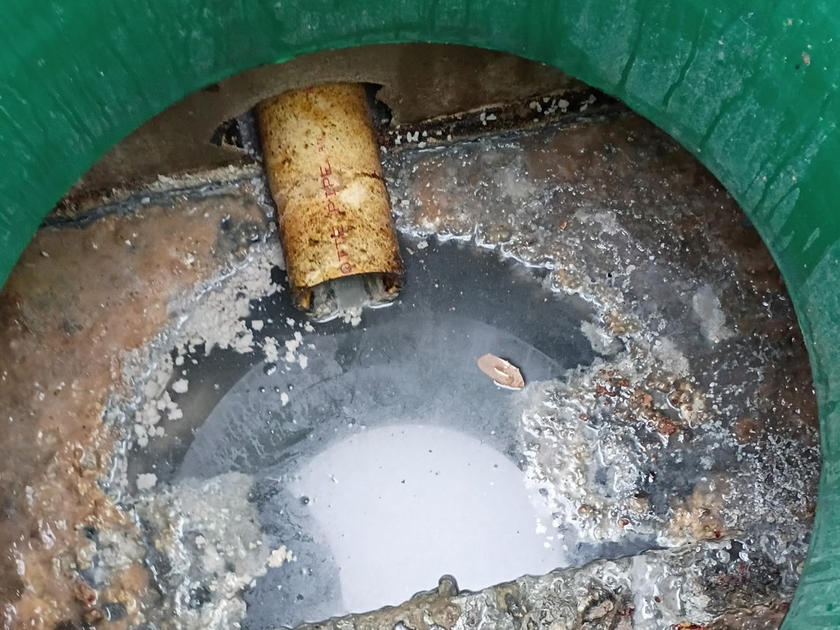 Commercial grease interceptor before pumping — a hardened cap of fats, oils and grease across the chamber, Bradenton FL